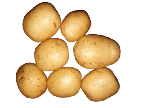 Colomba Potato - Fresh A Grade Chopped Vegetables 50 kg Packaging | Common Shape Cooked Style