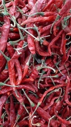Dry Red Chilli - A Grade, Fresh and Spicy Cooking Spice | Vibrant Red Color, Store in Cool and Dry Place