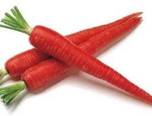Fresh Carrot - A Grade, Fresh Chopped Vegetables | Common Shape, Ideal for Cooking