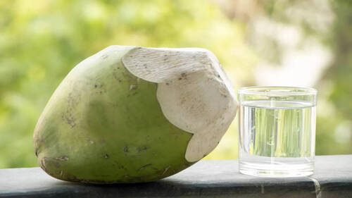 Fresh Coconut Water - Color: Green