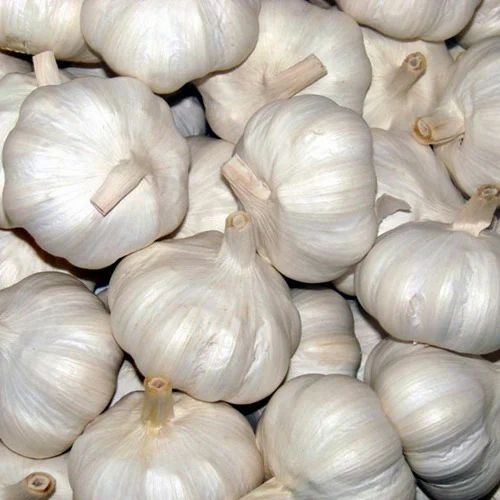 Fresh Garlic