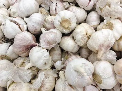 Fresh Garlic