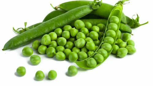 Fresh Green Peas - Fresh, Cooking Grade A | Chopped, Common Shape, 1 Week Shelf Life, Cold Storage Recommended