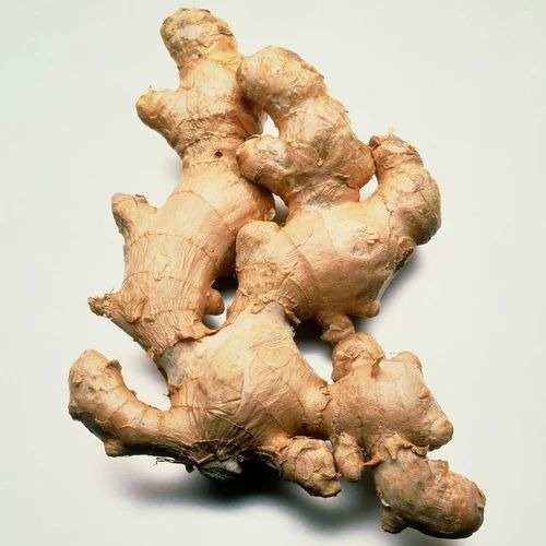 Fresh Organic Ginger - Fresh Vegetables | A Grade, Cooking Grade, Chopped, Common Shape, 7 Days Shelf Life, Cooked Style