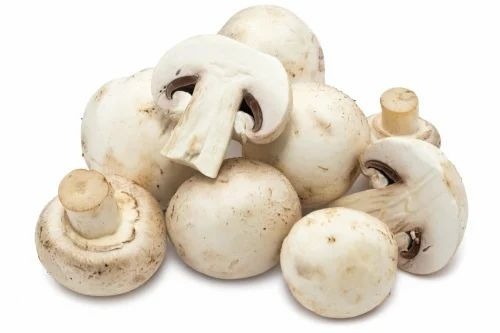 Fresh Organic Mushroom