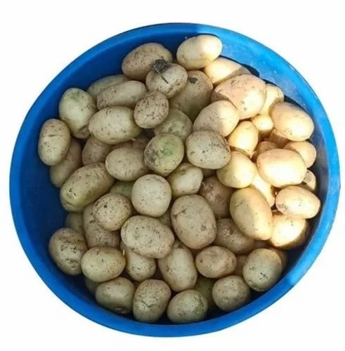 Fresh Potato - A Grade Loose Fresh Vegetables | Chopped Common Shape 2-Month Shelf Life No Artificial Flavour