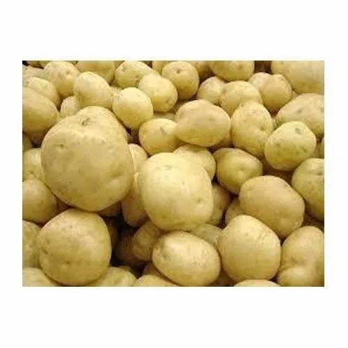 Hybrid Potato - Quality A Grade Fresh Vegetables | Cooking Application Chopped Processing Form Common Shape Cooked Style