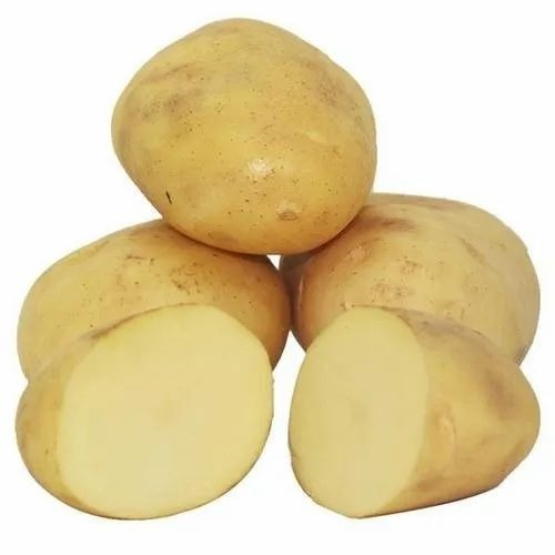 Kufri Himalini Potato - 50 kg Fresh A Grade Cooking Vegetables | Chopped, Common Shape, Cooked Style