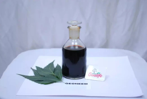 Pure Neem Oil - 1 Liter, Black Herbal Extract | Non-Toxic Organic Insecticide, Anti-Inflammatory, Fungal Protection, Moisturizing Agent, Plant Growth Enhancer, Nutrient-Rich, Non-Greasy