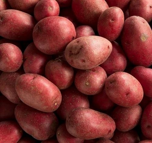 Red Potato - 50 kg, A Grade Fresh Vegetables | Chopped Processing Form, Common Shape, Cooked Style