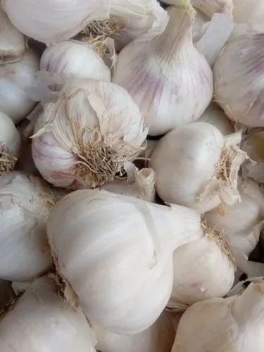 White Garlic - Fresh A Grade Chopped Vegetables , 50 kg Cold Storage with 6 Month Shelf Life, Common Shape, Cooked Style