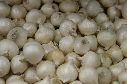 White Onion - Fresh A Grade Quality | Chopped Processing Form Common Shape Cooked Style