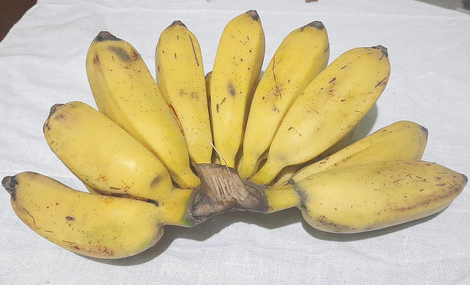 Banana 