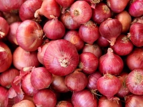 Fresh Onion - 50 kg Net Bag, Medium Pearl Onion, A Grade Quality, Chopped Form, Common Shape, 8 Month Shelf Life, Ideal for Cooking