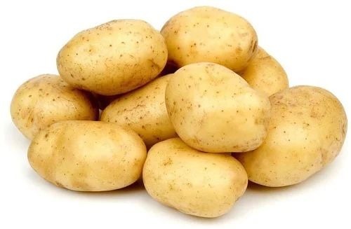 Fresh Potato - A Grade Fresh Vegetables | Cooked Style Chopped Form Common Shape Packaged in Gunny Bag for Cool and Dry Storage