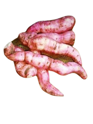 Fresh Sweet Potato - A Grade Pesticide Free | Chopped Processing Form Common Shape Cooked Style