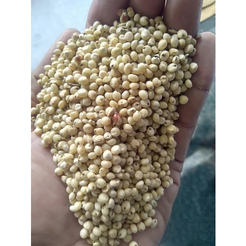 Millet Seeds - Color: Brown