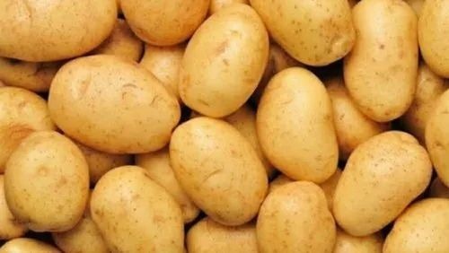Natural Potato - Fresh Vegetables, A Grade, B Grade | Chopped Processing Form, Common Shape, Cooked Style, Jute Bag Packaging