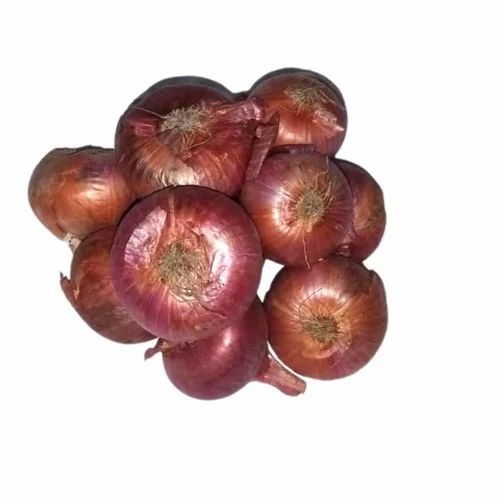 Red Onion - Medium A Grade, 50 kg Net Bag with 8 Month Shelf Life | Chopped, Cooked, Common Shape