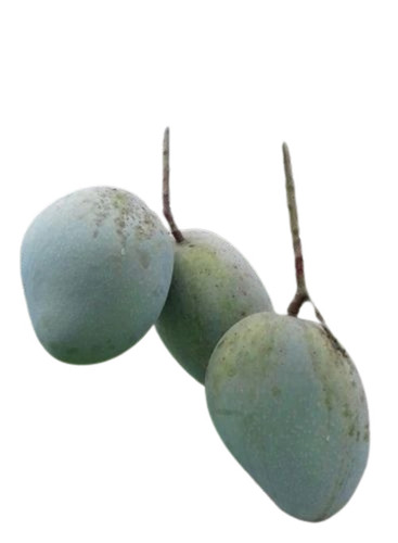 Ashwina Mango - Fresh Fruits, A Grade & B Grade Varieties | Sweet Taste, Yellow-Green Color, Common Shape, Whole Fruit, Wood Box Packaging, Cool & Dry Storage