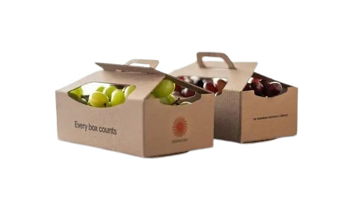 Food Packaging Box