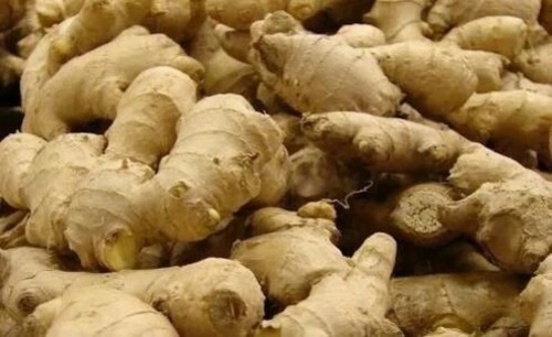 Frash Ginger - A Grade, B Grade | Fresh Chopped, Cooked Style, Common Shape, Store in Cool and Dry Place