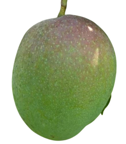 Fresh Mangoes - A Grade & B Grade Quality, Yellow & Green Color Variety | Whole Fresh Fruits in Wood Box, Store in Cool and Dry Place