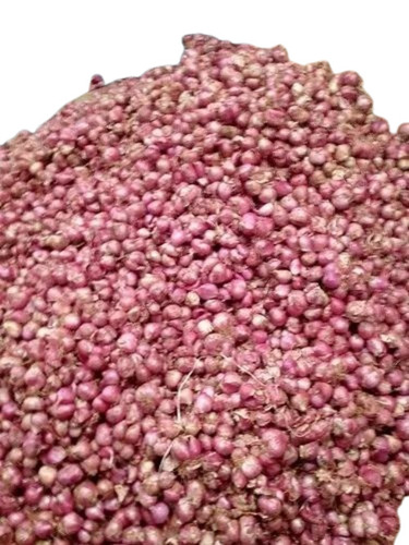 Fresh Sambar Onion