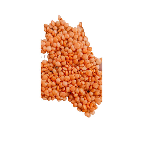 Red Lentil