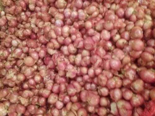 Sambar Onion - Fresh A Grade Cooking Vegetables, 50 Kg Gunny Bag Packaging | Optimum Quality, Chopped Form, Shelf Life 2 Months