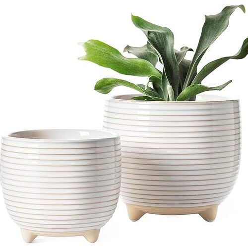 White Ceramic Flower Pots