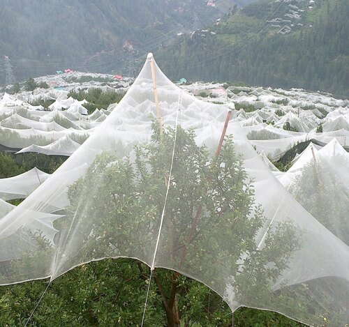 Anti-Hail Net - Application: Agriculture