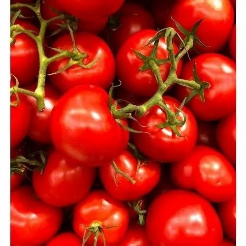 Cherry Tomato - 5 Kg Net Bag Red Color A Grade Quality Chopped Processing Form Common Shape Cooked Style