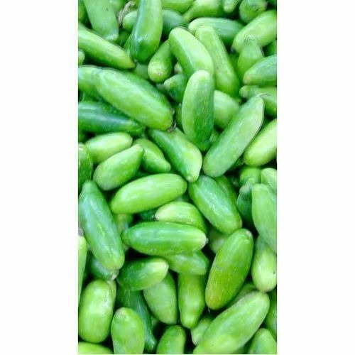 Fresh Cucumber - Fresh Vegetables, 1% Calcium, Available in 5 Kg, 10 Kg, 20 Kg Carton & Plastic Bag Packaging, Common Shape, Cooked Style, Chopped Processing