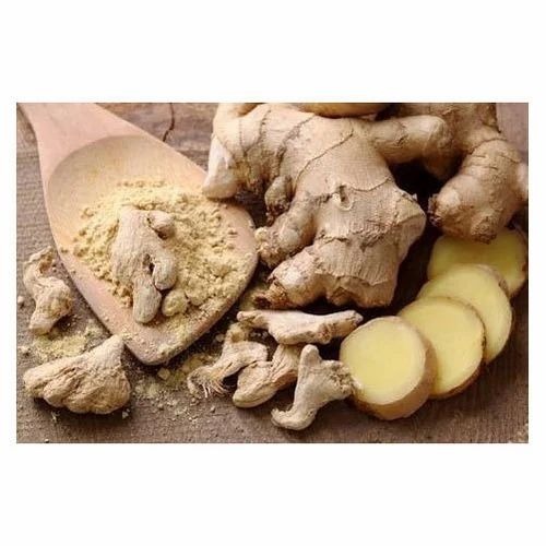 Fresh Ginger - 5 Kg, 10 Kg, 20 Kg Carton & Plastic Bag | Fresh, Chopped, Common Shape, 6 Months Shelf Life, Cooked Style