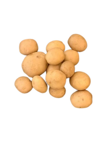 fresh potato