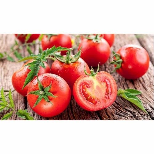 Fresh Tomato - 5 Kg 10 Kg 20 Kg Carton & Plastic Bag Chopped Processing Common Shape Cooked Style Optimum Fresh Quality
