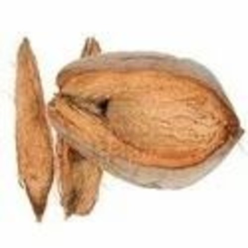 Pollachi Coconut - A Grade Fresh Coconut | Brown Color, Common Cultivation Type, Ideal for Human Consumption, Naturally Delicious