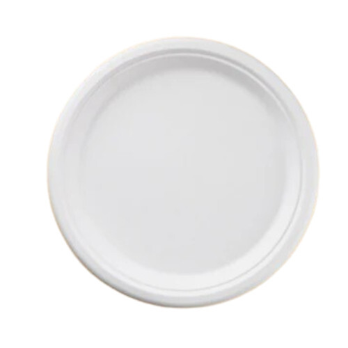 10 Inch Round Biodegradable Sugarcane Bagasse Plate