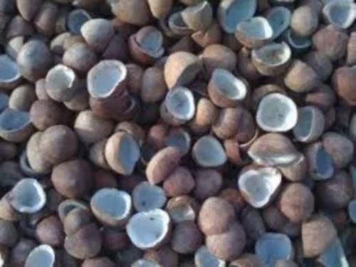Coconut Copra - Packed in Plastic Box, Size: 50 kg, Color: Brown, Gluten-Free, Organic, Moisture: 10%, Oil Content: 58%, FSSAI Certified