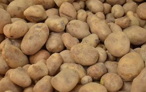 Fresh Potatoes - A Grade, Chopped Style, Common Shape | Fresh Vegetables, Optimum Quality, Packing in Gunny Bag, Ideal for Cooking