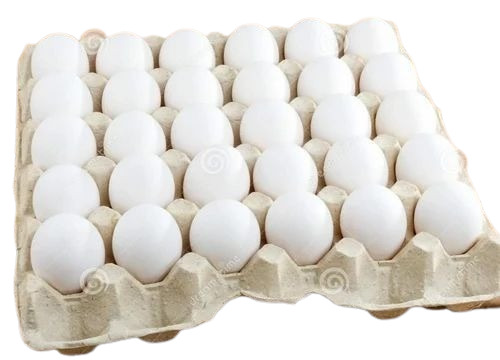 White Poultry Eggs - Tray Packaging, Fresh Broiler Chicken Eggs with Nil Cholesterol | Perfect for Restaurants