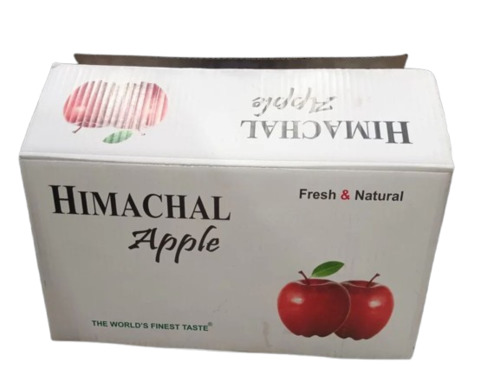 Apple Packaging Box