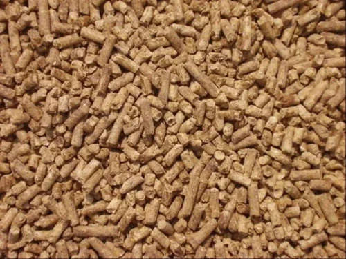 Brown cattle feed