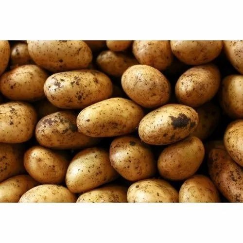 Brown Fresh Potato - Jute Bag, 40-50 Kg Size | A Grade & B Grade, 100% Purity, Common Shape, Cooked Style, Chopped Processing Form
