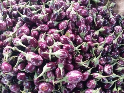 Fresh Brinjal - A Grade Fresh Vegetables | Chopped, Common Shape, Cooked Style, Optimum Quality