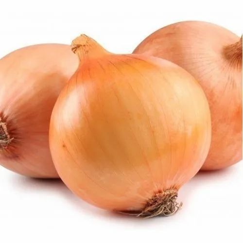 Fresh Brown Onion - Organic Quality 40-50 Kg Net Bag | Chopped Processing Common Shape Cooked Style