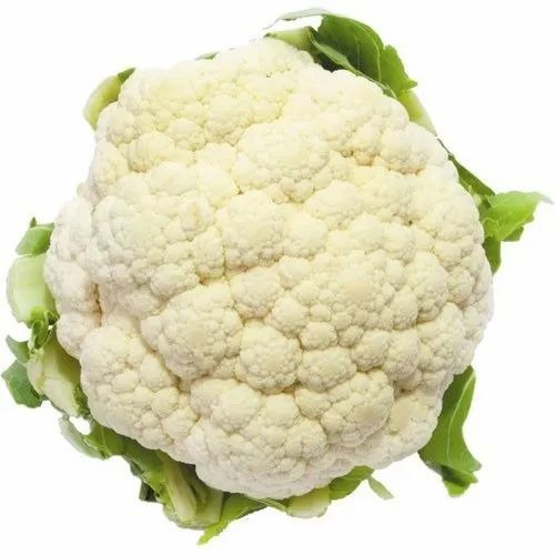 Fresh Cauliflower - Organic, 40-50 Kg, B Grade, 7 Days Shelf Life, Plastic Bag Packaging | Chopped, Common Shape, Cooked Style, Cold Storage Recommended