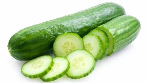 Fresh Cucumber - A Grade Fresh Vegetables | Common Shape, Cooked Style, Chopped Processing, Store in a Cool and Dry Place