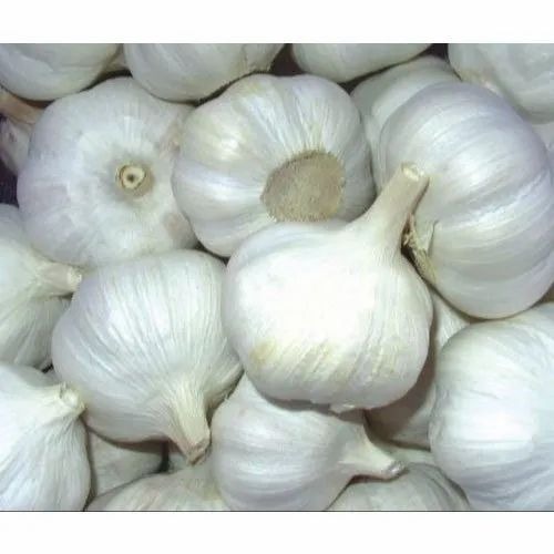 Fresh Garlic